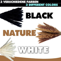 Pampasgras 45cm - verschiedene Farben
