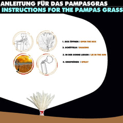 XXL Pampasgras 100cm - verschiedene Farben