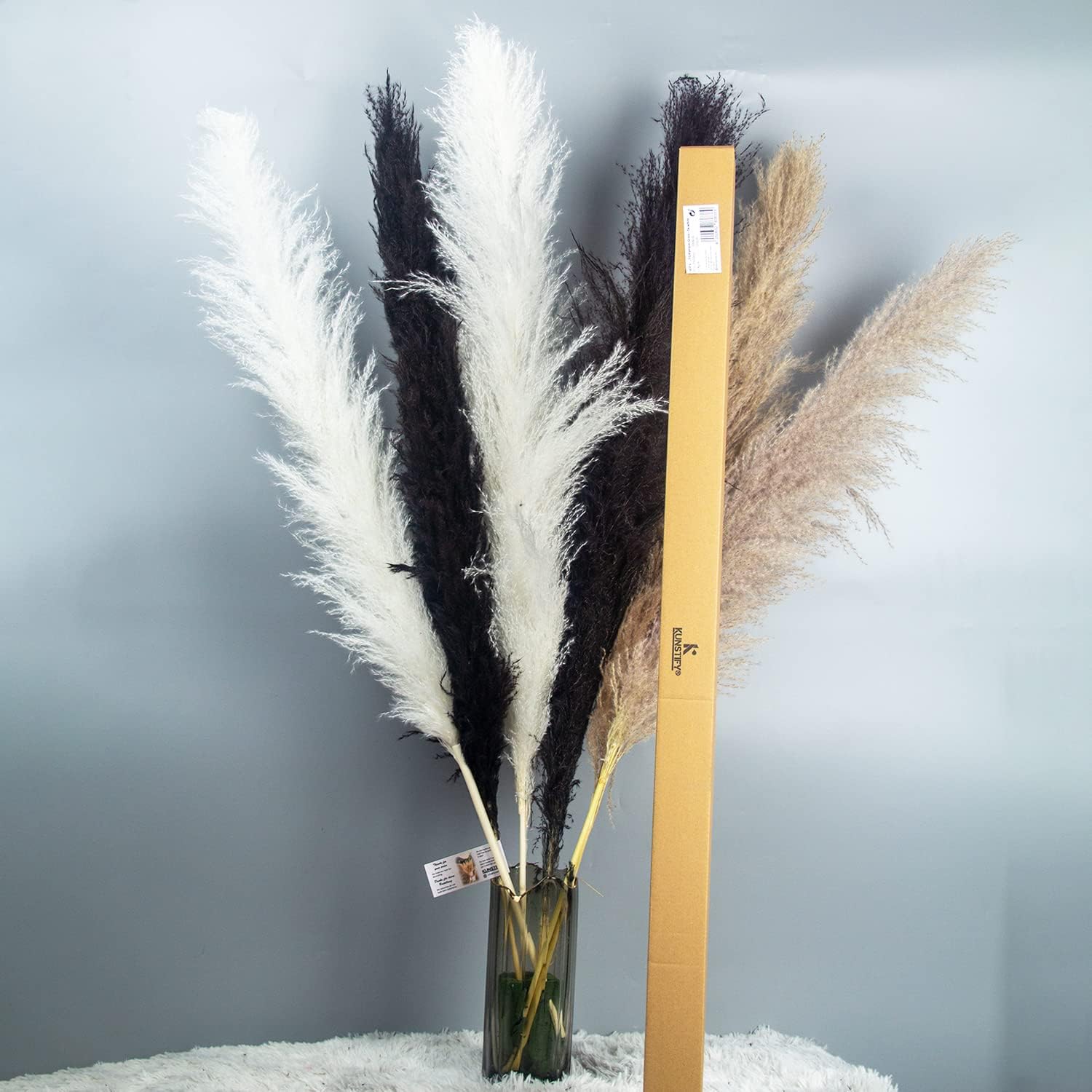 XXL Pampasgras 100cm - verschiedene Farben