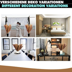 Pampasgras 45cm - verschiedene Farben