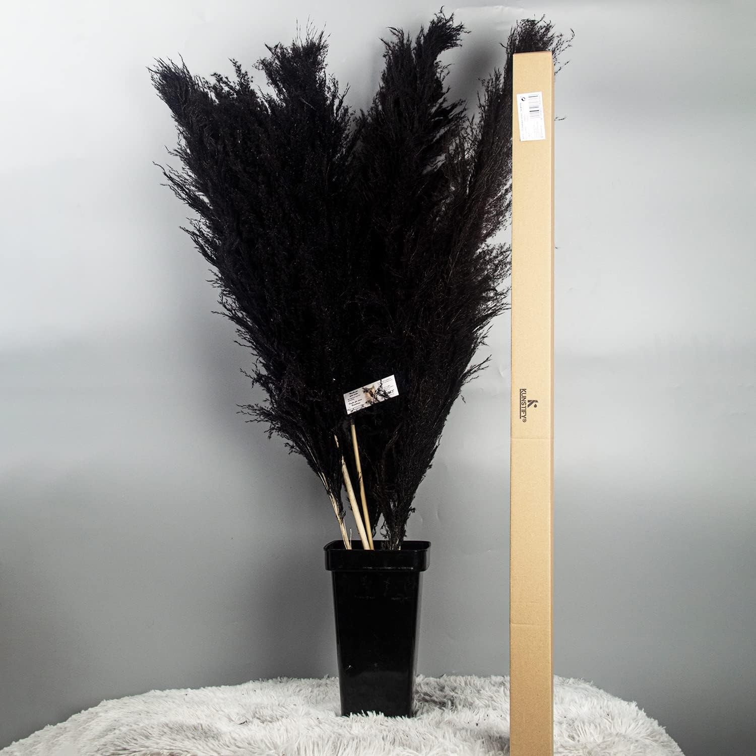 XXL Pampasgras 100cm - verschiedene Farben