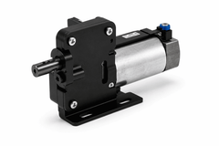 Motor Standard